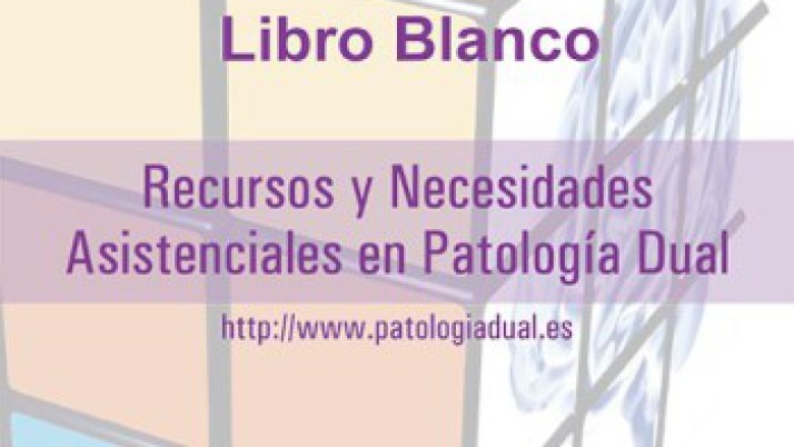 Recursos y Necesidades Asistenciales en Patología Dual